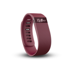 Wearable Steps Distance Activity Burned Calories Sleep Analysis Floors Climbed Fitbit Charge